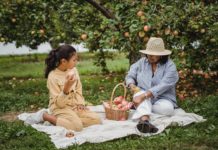 Crear un mini huerto en casa huerto casa