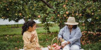 Create a mini vegetable garden at home huerto casa