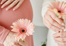 Descubriendo Redes de Apoyo Emocional Durante la Aventura de la Maternidad